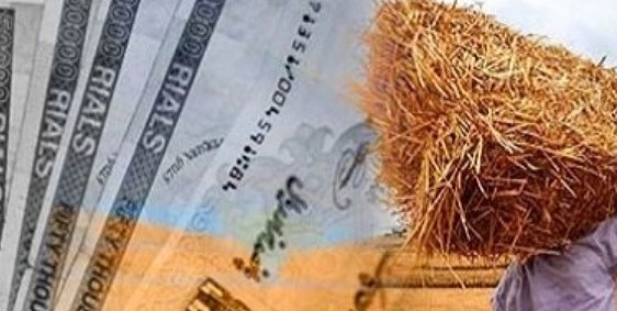 پرونده مطالبات گندمکاران به بانک ارسال شد