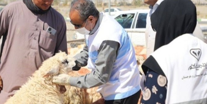 36 اکیپ بر ذبح دام عید قربان نظارت دارند